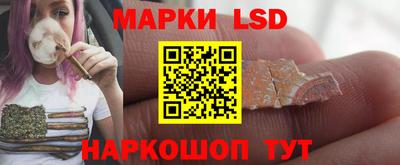 гидропоника Кунгур